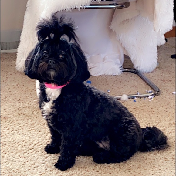 🎈Meet the seller/buyer & leave your feedback! 🎈 - Picture 11 of 13